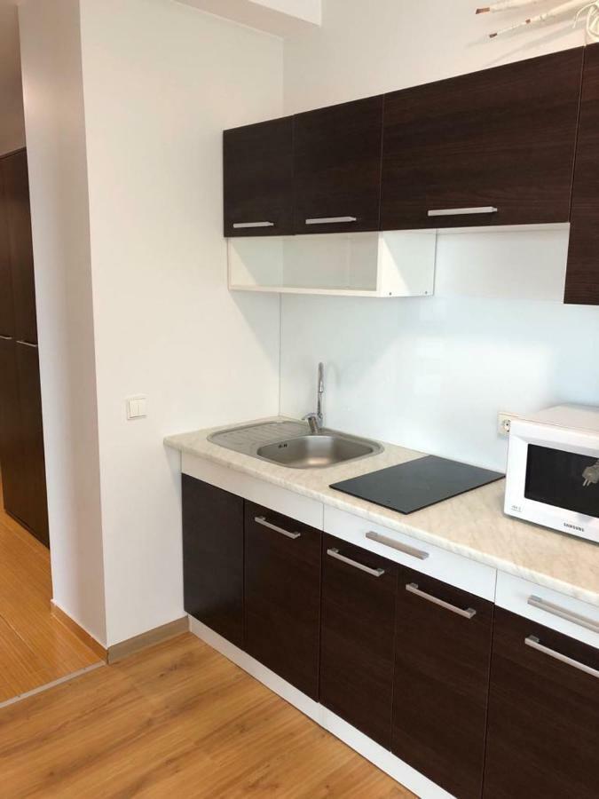 Palanga Apartment Daukanto 17 Exterior foto